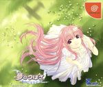 初回限定版)夢のつばさ-Fate of Heart- 新品ゲーム | ブックオフ