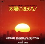 ★CD【大野えり/真赤な太陽】2003年夏 SHARPエアコンTVCFオンエア曲 0001070088L.jpg