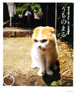 （激レア）どスコい座り猫、まる。～養老孟司先生と猫の営業部長 [DVD] Amazon.co.jp: どスコい座り猫、まる。～養老孟司先生と猫の営業