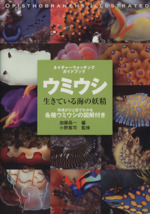 インド太平洋のウミウシ　ガイドブック　Nudibranchs　洋書 インド太平洋のウミウシ ガイドブック Nudibranchs 洋書