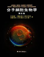 分子細胞生物学 第6版 中古本・書籍 | ブックオフ公式オンラインストア