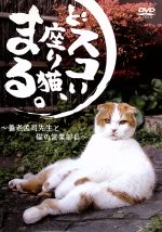DVD「どスコい座り猫、まる。～養老孟司先生と猫の営業部長