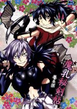 魔乳秘剣帖　ディレクターズカット版　全６巻　レンタル版DVD アニメ 魔乳秘剣帖 ディレクターズカット版 DVD 全6巻 全巻セット
