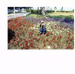 光のなかに立っていてね 中古CD | ブックオフ公式オンラインストア