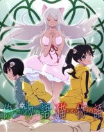 偽物語&猫物語　ＢＲ&DVD 非売品ポスター Amazon.co.jp: 偽物語&猫物語(黒) Blu-ray Disc Box【完全生産