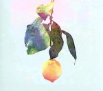 新品未開封　米津玄師　lemon 初回限定　レモン盤　映像盤　DVD 21nQJDZz55L._UF894,1000_QL80_.jpg