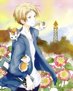 全巻セット【中古】DVD▼夏目友人帳(32枚セット)第1期、続、参、肆、伍、陸、OVA いつかゆきのひに、劇場版 うつせみに結ぶ▽レンタル落ち 51Ua3NSGYkL.jpg_BO30,255,255,