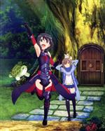 痛いのは嫌なので防御力に極振りしたいと思います。 Blu-ray BOX