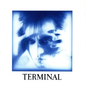 Terminal