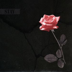 STAY