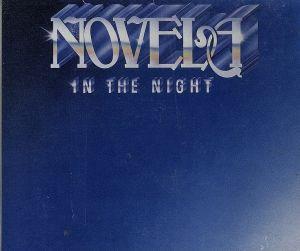 イン・ザ・ナイト