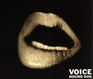 VOICE