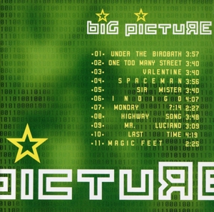 ビッグ・ピクチャー