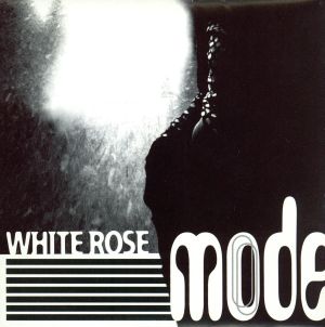 WHITE ROSE