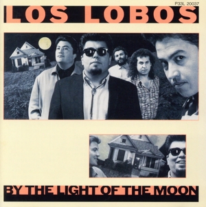 月明かりの中を