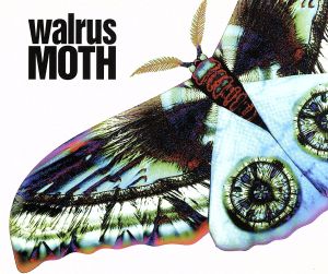 WALRUS MOTH