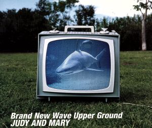 Brand New Wave Upper Ground
