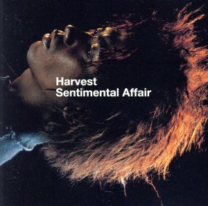 Sentimental Affair