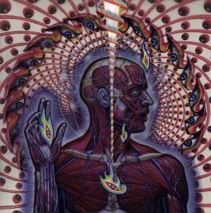 Lateralus(期間限価格版)