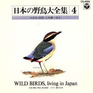 日本の自然と野鳥4 本州四国九州編3