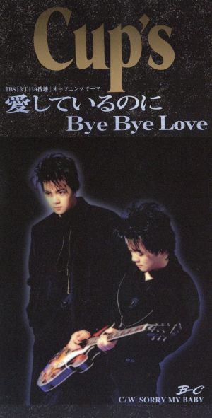 愛しているのにBye Bye Love