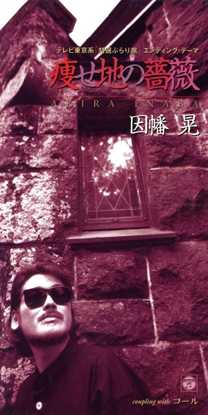 【8cm】痩せ地の薔薇