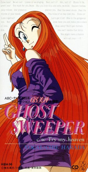 GS美神:GHOST SWEEPER