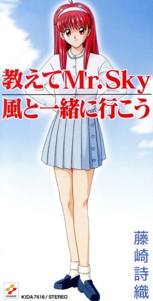 ときめきメモリアル:教えてMr.Sky