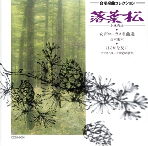 桜庭和志公式入場テ-マソング SPEED TK RE-MIX～炎のコマ 中古CD