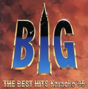 ビッグエコーカラオケシリーズ BIG THE BEST HITS