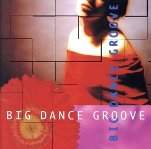 ビッグエコーカラオケシリーズ BIG DANCE GROOVE