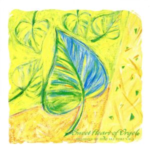 スウィート・ハート・オブ・オルゴール/徳永英明作品集