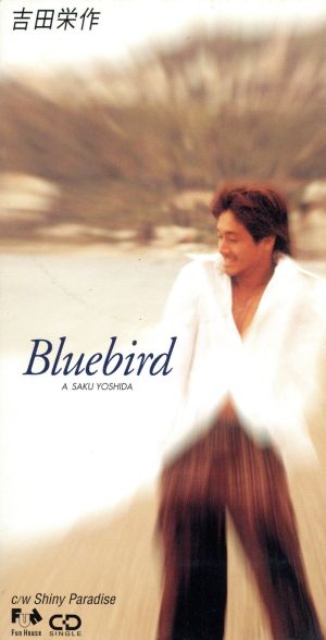 Bluebird/Shiny Paradise