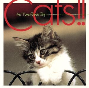 Cats!!-AS TIME GOES