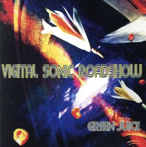 Vigital-Sonic-Roadshow