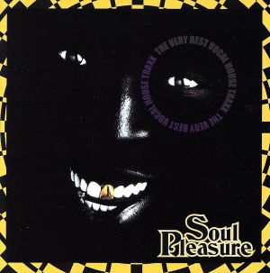 SOUL PLEASURE