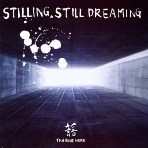 STILLING STILL DREAMING