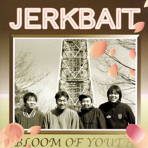 JERKBAIT