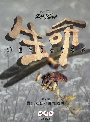 生命40億年はるかな旅(7)昆虫たちの情報戦略 新品DVD・ブルーレイ