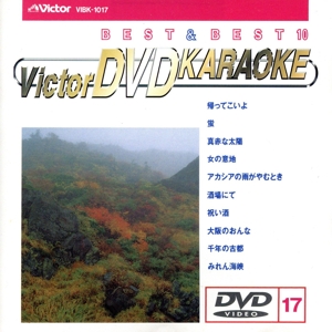 BEST&BEST10演歌・歌謡篇17 帰ってこいよ/蛍/真赤な太陽/他