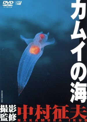 カムイの海