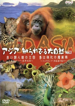 アジア知られざる大自然 Vol.1