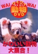 ワイワイ動物DVD かわいい動物大集合！