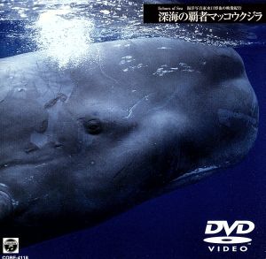 海洋写真家 水口博也の映像紀行 深海の覇者マッコウクジラ