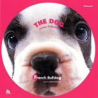 THE DOG フレンチ・ブルドッグ