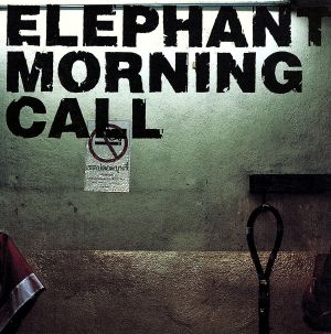 ELEPHANT MORNING CALL