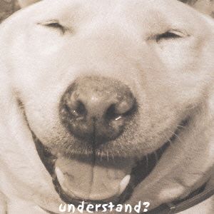 understand？