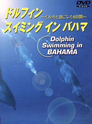 ドルフィンスイミング イン バハマ イルカと過ごした6日間