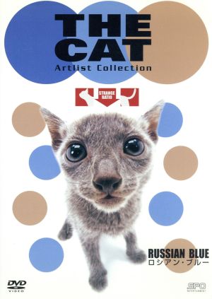 THE CAT ロシアン・ブルー