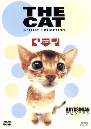 THE CAT アビシニアン